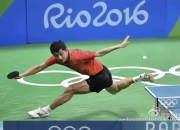 开云体育直播-奥地利乒乓球队碾压德国乒乓球队，张继科爆发神勇的简单介绍