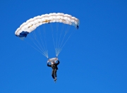 开云体育APP下载-橙衣风暴中的孤胆英雄，卡拉斯科如何扛起荷兰力克勒沃库森的重任