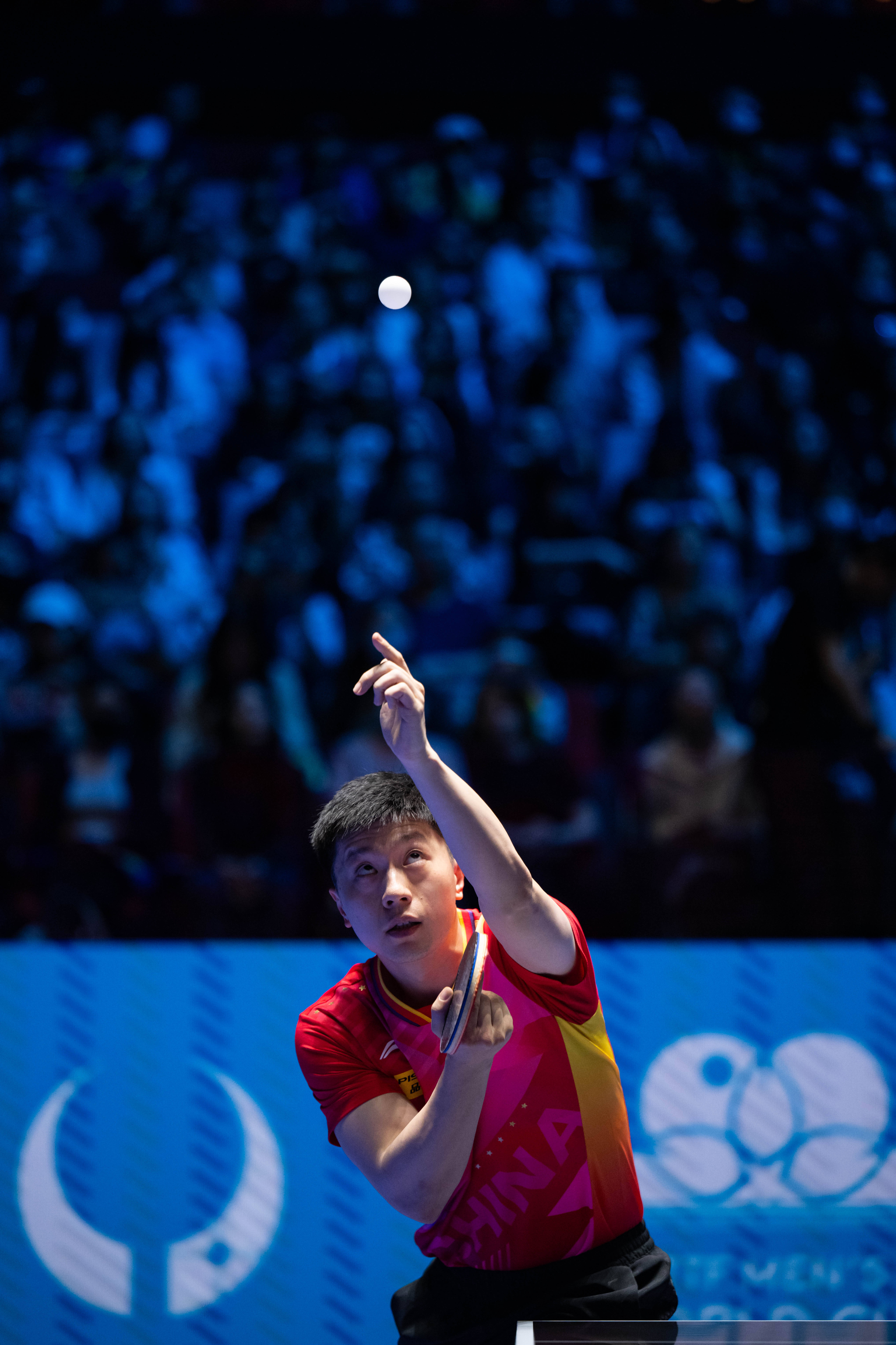 关于日本乒乓球队完胜比利时乒乓球队，马龙绝境逆转的信息