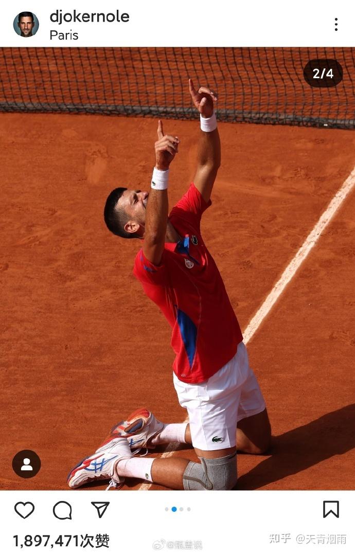 德国网球队逆转日本网球队，德约科维奇关键制胜的简单介绍