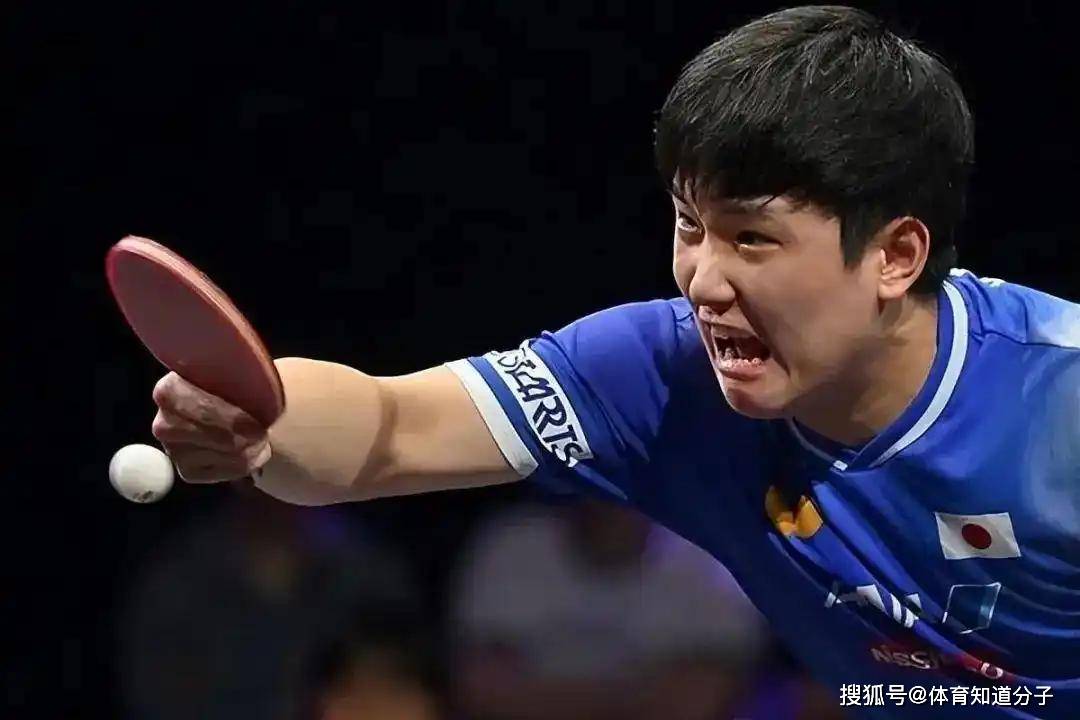 英国乒乓球队轻取日本乒乓球队,张本智和关键制胜的简单介绍 英国乒乓球队轻取日本乒乓球队,张本智和关键制胜的简单介绍