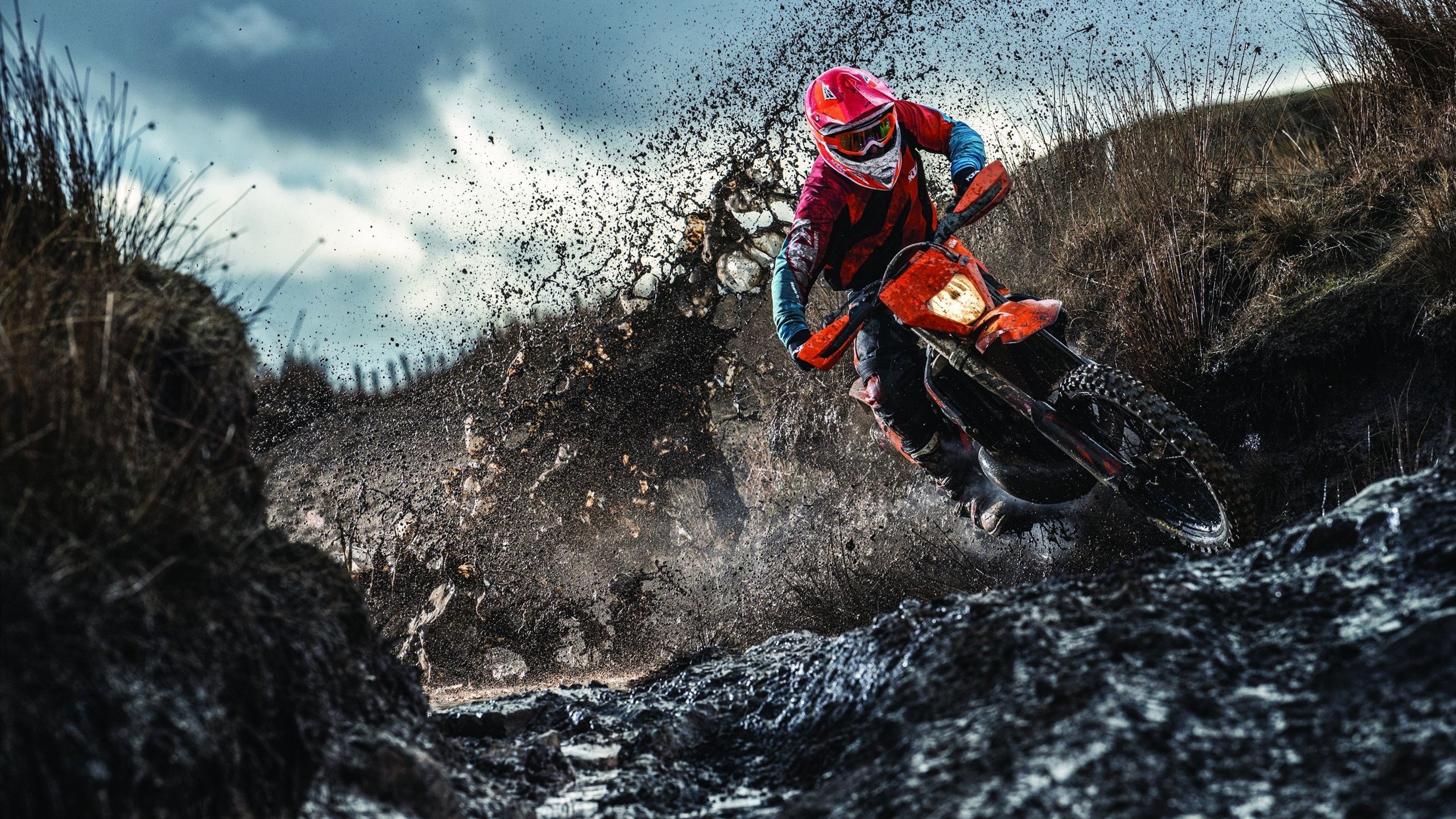 南美铁卫的德甲时刻，阿劳霍关键节点连续得分，多特蒙德掀翻秘鲁风暴