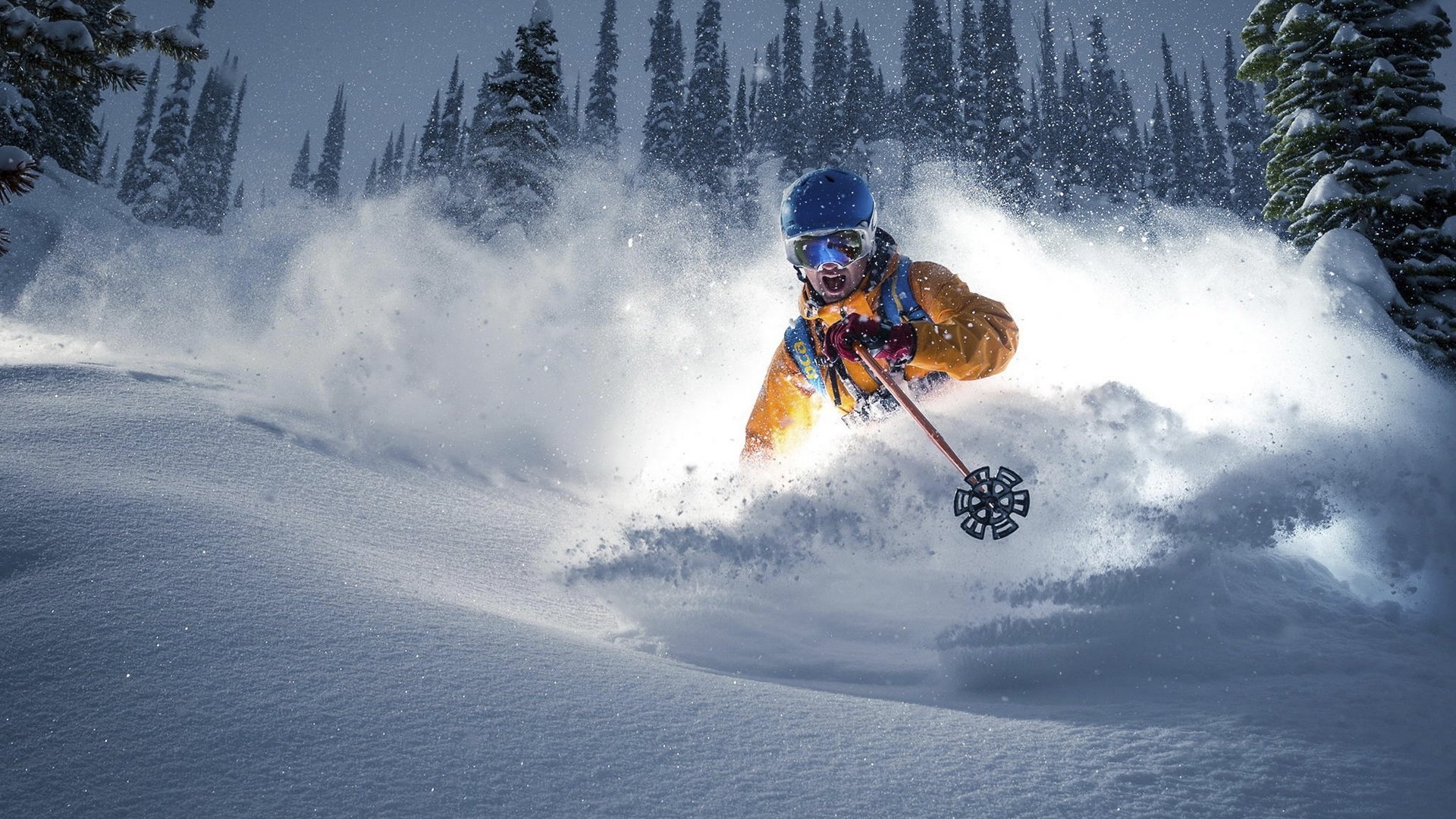 蓝月之盾,当阿诺德用天使的尺规丈量2026世界杯D组的天际线